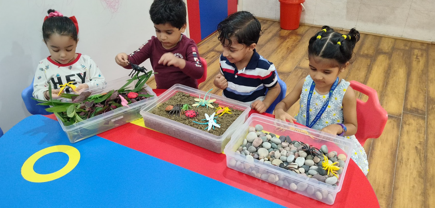 Insects Live Activity